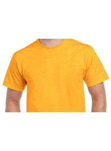 Sıfır Yaka Sarı Kısa Kollu Tişört TİŞ-07 
